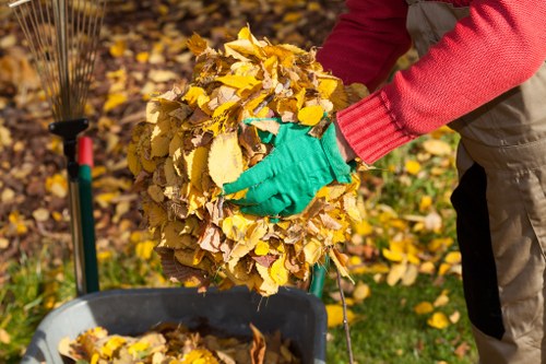 Professionals performing property clearance in a residential area.